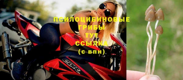 каннабис Новодвинск