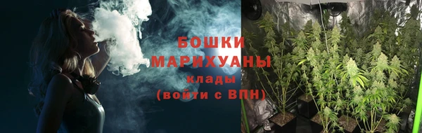 каннабис Новодвинск