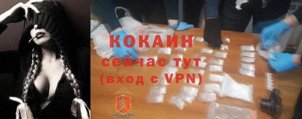 apvp Новозыбков