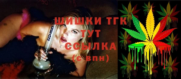apvp Новозыбков