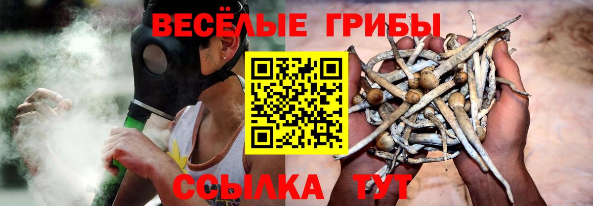 Калининград  Псилоцибиновые грибы Cubensis  Вход с VPN 